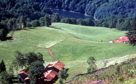 Carcheggio